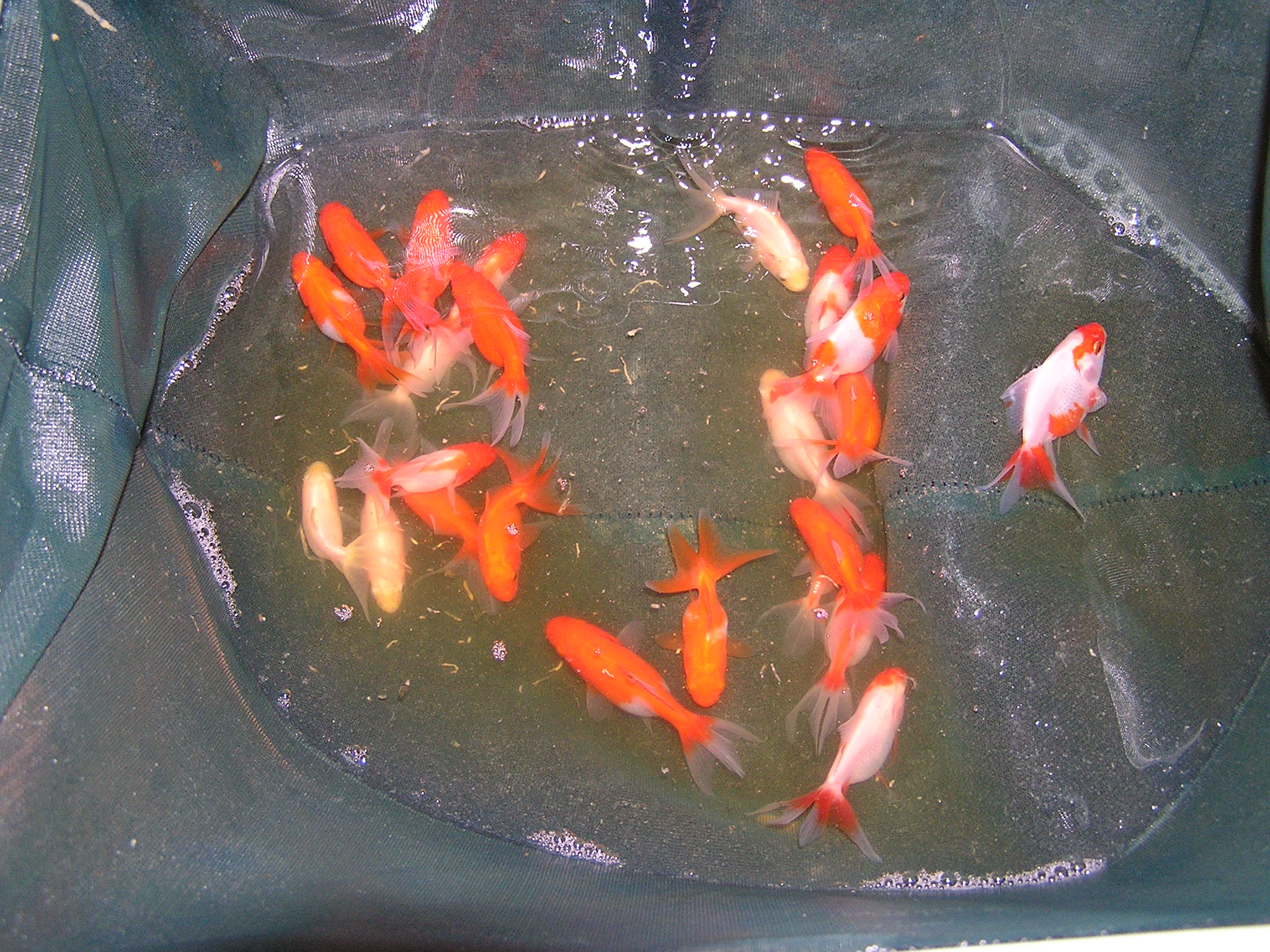 P1010225.JPG